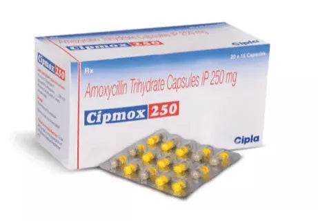 Cipmox 250 Capsules | Amoxicillin 250 mg Information - Buy 100 Tablets