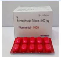 Fenbendazole Tablets 1000 mg | Professional Animal Health Medicine - 100 Tablets