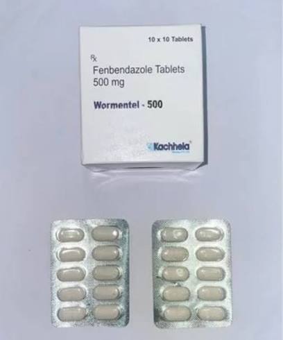 Fenbendazole Tablets 500 mg - 100 Tablets